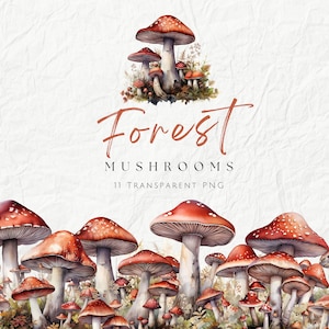 Pack de cliparts champignons forêt aquarelle, clipart pays des fées, champignons vénéneux sauvages enchantés, champignon magique, clipart de papeterie, usage Commercial