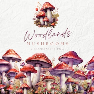Pack de cliparts aquarelle de champignons sauvages des bois, mignons champignons de la forêt Cottagecore, champignons vénéneux enchantés, graphiques de livre de contes pour enfants