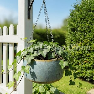 May include: A hanging planter filled with green ivy. The blue-grey metal pot has a gold rim and is suspended by a chain. The background includes a white picket fence and green foliage.