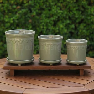 May include: Three sage green ceramic plant pots of different sizes, each with a matching saucer, are displayed on a dark wooden tray. The pots feature a decorative scalloped design near the rim. The arrangement is on a wooden table.