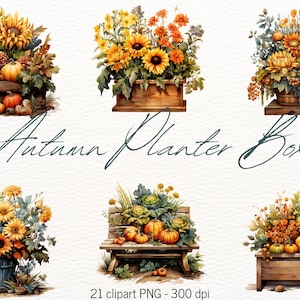 Zonnebloem clipart bundel gele bloemen plantenbak vak clipart bundel herfst clipart aquarel pompoenen PNG zonnebloem graphics commercieel gebruik