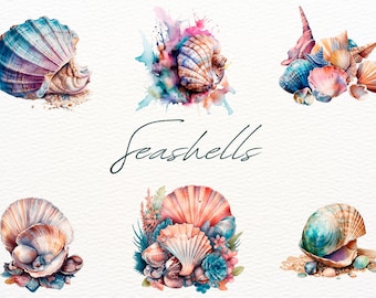 Watercolor Sea Shells Clipart Bundle Of 9 Transparent PNG Files Ocean Seascape Beach Digital Paper Craft Wall Art Scrapbooking Seashells Png