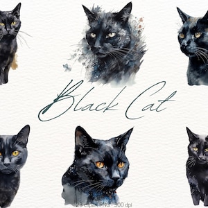 Bundle de cliparts chat noir aquarelle chat mignon Transparent 23 fichiers PNG Art mural numérique artisanat papier fabrication de cartes Scrapbooking Junk Journal