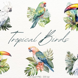 Tropical Birds And Leaves Clipart Bundle Watercolor Jungle Birds Graphics, Parrot Png Files, Toucan Watercolor Illustrations, Card Making