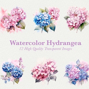 Paquete de imágenes prediseñadas de hortensias, ilustraciones de hortensias en acuarela rosa y azul, gráficos florales, creación de tarjetas de invitación de boda, 12 PNG transparentes
