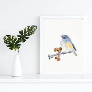 Druck in limitierter Auflage, Kunstdruck einer Blauflankennachtigall, Illustration, Wandkunst, Tierposter, Aquarellvögel.