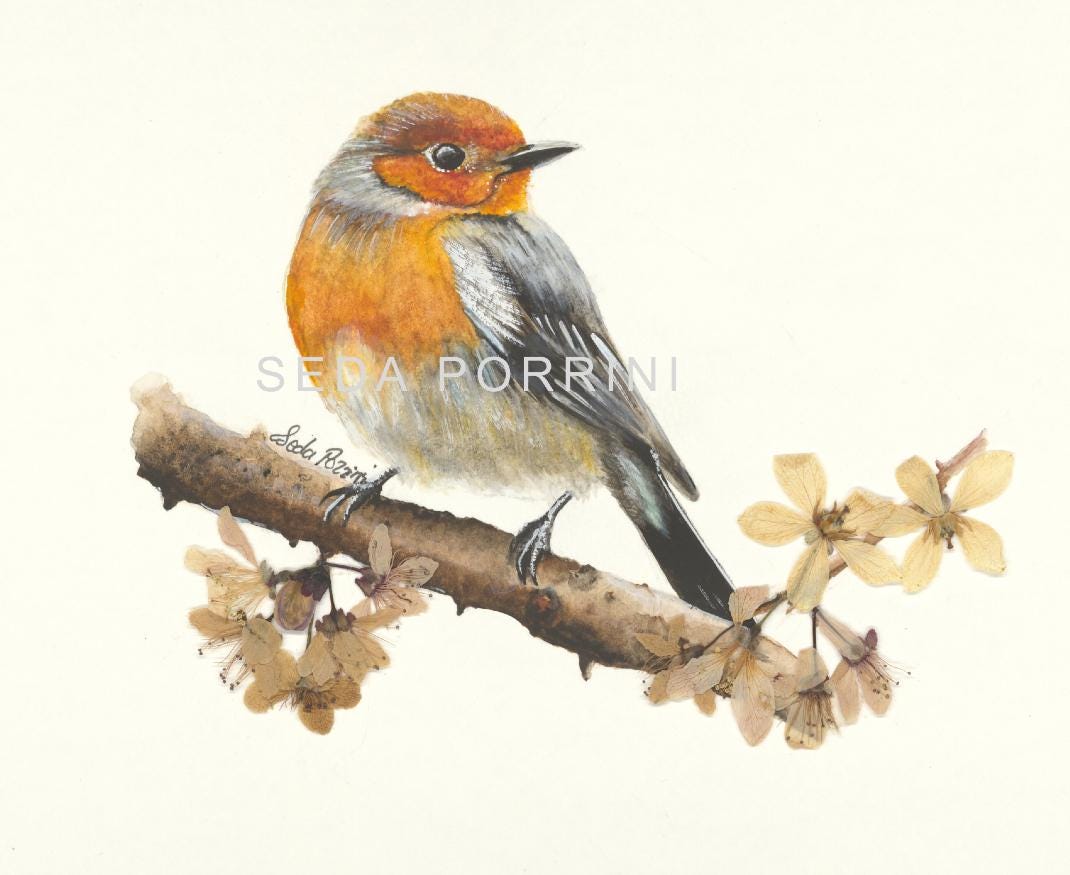 Fine Art Print of Watercolor Robin and Dried Flowers, Wall Art Decor ...