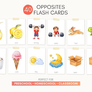 Può includere: Un set di 40 flashcard educative intitolate 40 OPPOSITES FLASH CARDS. Ogni carta presenta illustrazioni ad acquerello che raffigurano concetti opposti come dolce e aspro, forte e debole, veloce e lento, caldo e freddo, giorno e notte, aperto e chiuso.