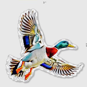 flying mallard decal