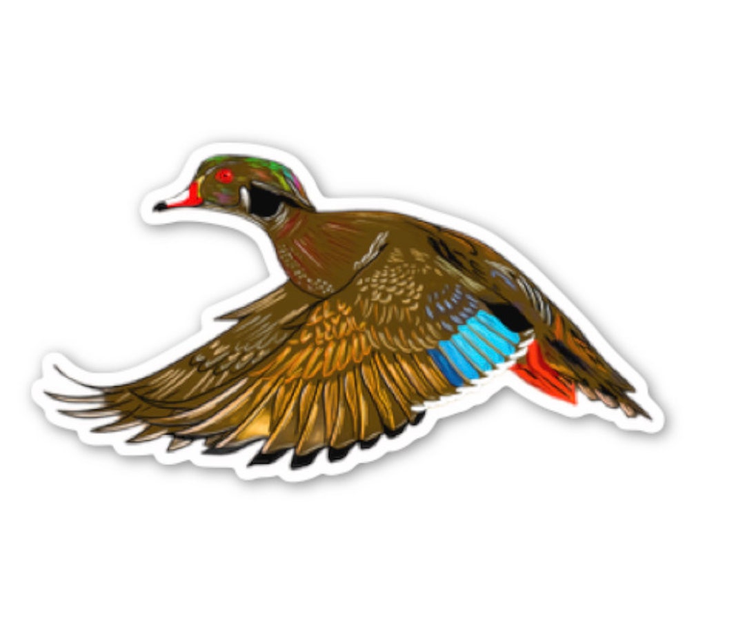 Wood Duck Sticker Etsy