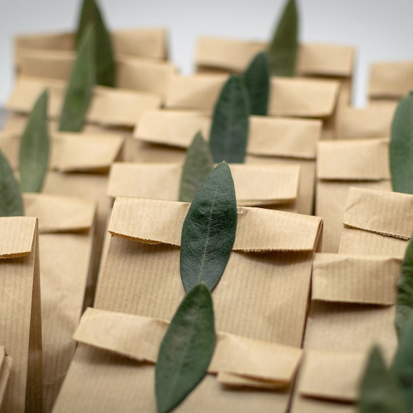 CONFETTIS DE FEUILLES D'OLIVE - Feuilles d'olivier biologiques fraîches, biodégradables, confettis respectueux de l'environnement, mélange de sortie de mariage, sachets de confettis de feuilles d'olivier