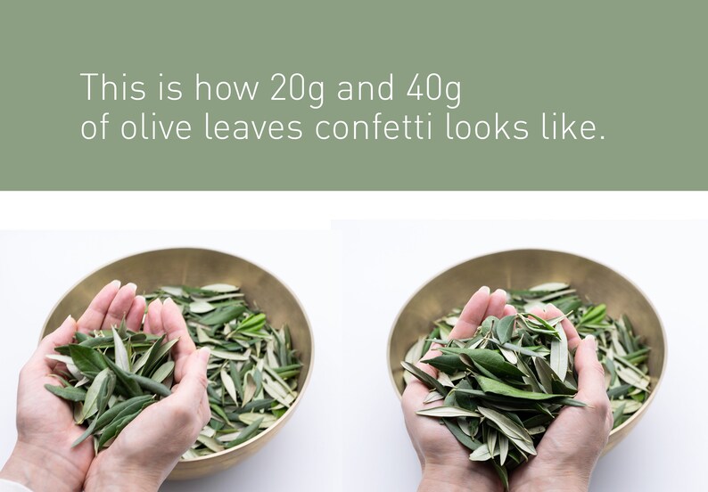 OLIVE LEAVES & ROSEMARY Confetti Fresh Organic Olive Leaves, Biodegradable Eco Friendly Confetti