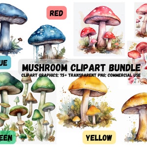 Pacchetto Clipart di funghi acquerello (rosso, verde, blu, giallo) - formato PNG clip art; download istantaneo; uso commerciale