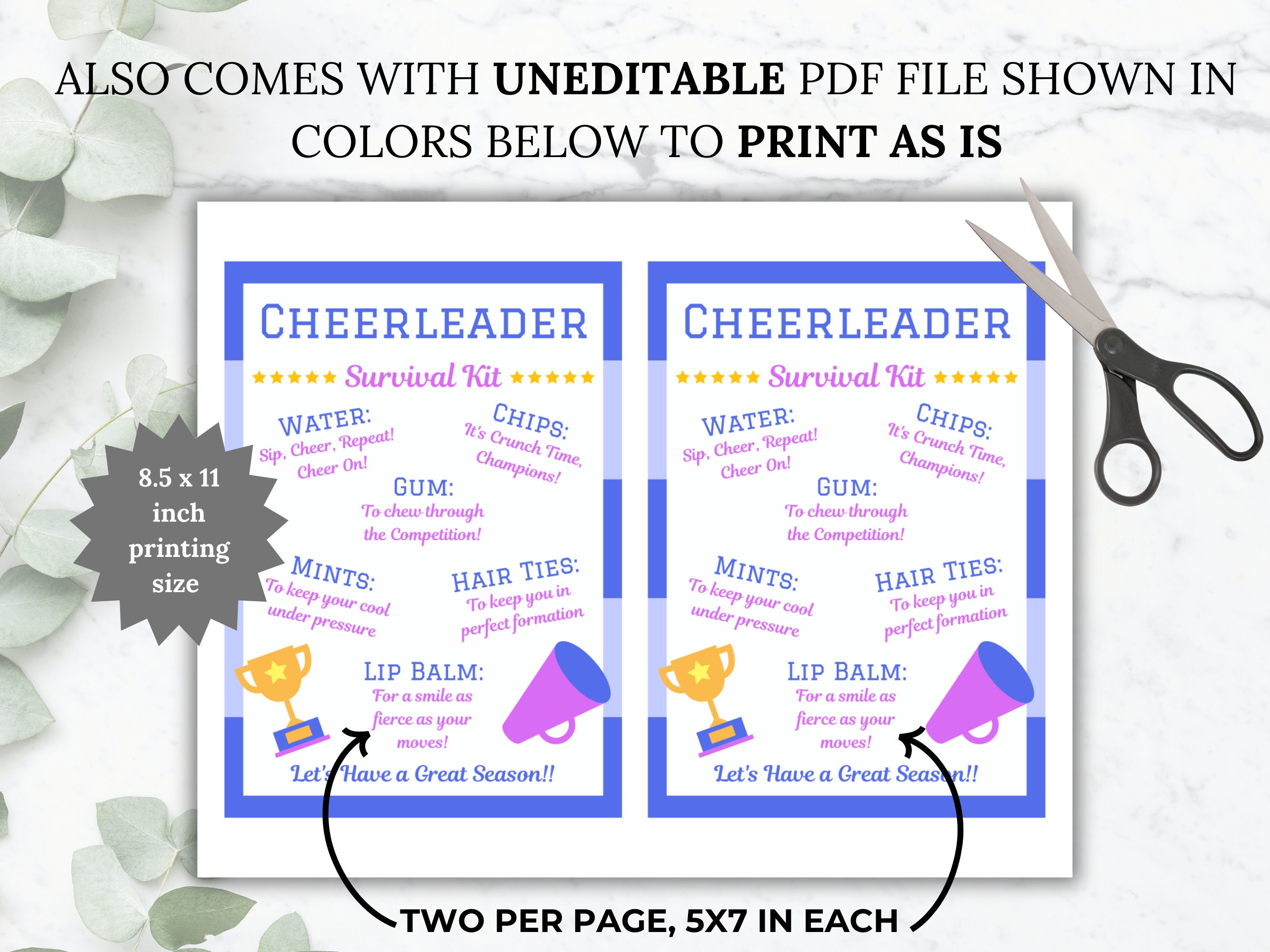 Cheerleader Survival Kit Editable Template Cheer Team Gift Printable ...