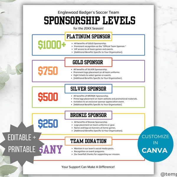 Sponsorship Level Flyer Printable Club Sponsorship level editable template sponsorship template Sport team sponsorship flyer donation letter