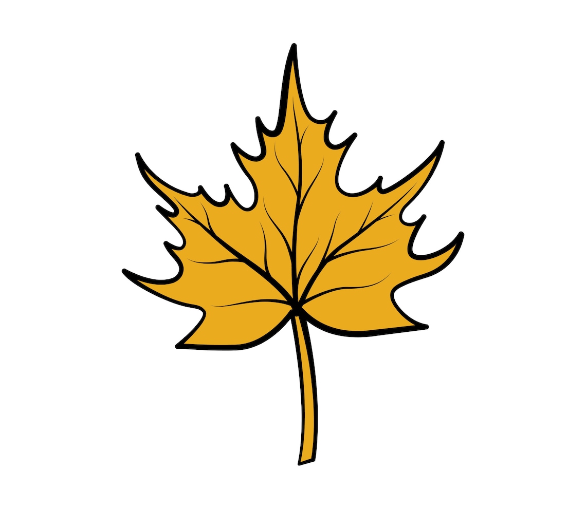 Fall Leaves SVG PNG Fall Leaves Svg Leaf Cut Files for - Etsy