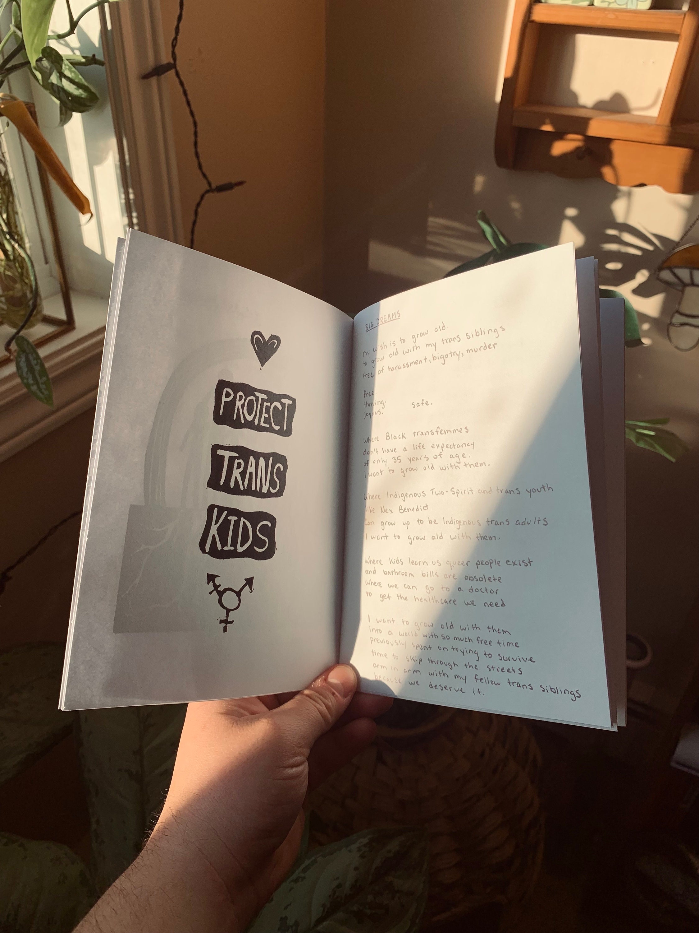 Transverse Zine, Trans, Transgender, Queer, Non Binary, Trans Masc, 5 X ...