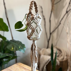 May include: A macrame plant hanger with a white and brown rope design. The hanger is holding a clear glass jar with a plant inside.