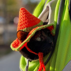 Cat hat
