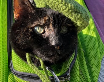 Cat hat- green beret