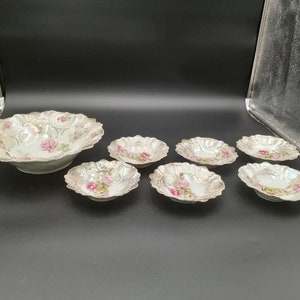 Beautiful Bavaria German China Dessert  / Berry Bowl Set Hand Painted - One Large Serving Bowl and Six Individual  Bowls