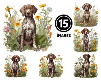 German Shorthaired Pointer Puppy Clipart: Hunting Dog Art (Digital Download)