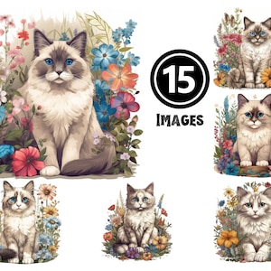 Ragdoll Kitten Clipart Bundle 15 JPG Adorable Cat Illustrations Instant Download Fluffy Feline Art for Creative Projects Home Decor Ideas