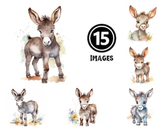 Baby Donkey Clipart Set, Farm Animal Illustrations (Digital Download)
