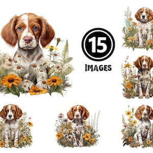 Brittany Puppy Clipart Collection 15 download JPG Illustrazioni di cani vivaci per sforzi creativi e regali unici per gli appassionati di Brittany