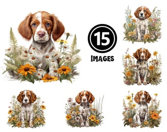 Clipart puppy Bretagne: 15 hondenillustraties (JPG-downloads)