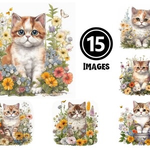 Exotic Shorthair Kitten Clipart Set 15 JPG Cute Cat Illustrations Instant Download Playful Pet Art for Crafts Home Decor Creative Projects