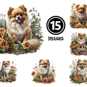 ポメラニアンの子犬のクリップアートの祭典 15 個の JPG ファイル ふわふわの犬のイラスト、クラフト用、ポメラニアン愛好家への心温まるギフト