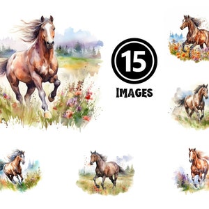 Bundle de cliparts cheval aquarelle Illustrations équines majestueuses Étalon imprimable Art déco équestre amoureux des animaux cadeau téléchargement numérique