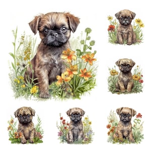Collection de cliparts Griffon de Bruxelles : 15 adorables illustrations JPG, téléchargement numérique instantané, parfait pour les travaux manuels et les projets des amoureux des chiens