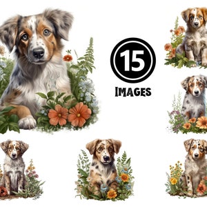 Australian Shepherd Puppy Clipart Set 15 JPG Illustrations Energetic Dog Digital Download Playful Pet Art for Decor & DIY Projects Gift Idea