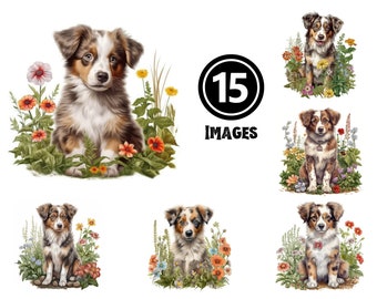 Miniature American Shepherd Puppy Clipart Ultimate Set 15 JPG Files Vibrant Dog Illustrations for Projects & Gifts for Shepherd Lovers