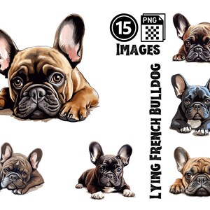 Clipart realistica del Bulldog francese: 15 illustrazioni PNG in posa sdraiata, download digitale per gli amanti dei Frenchie, pacchetto grafico autentico del cane
