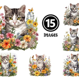American Shorthair Kitten Clipart Set 15 JPG Illustrations Classic Cat Digital Download Playful Pet Art for Crafting Home Decor Gift Ideas