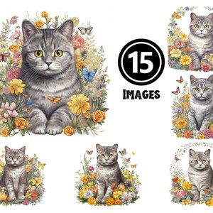 British Shorthair Kitten Clipart Set 15 JPG Illustrations Charming Cat Digital Download Classic Pet Art for DIY Projects Home Decor Ideas