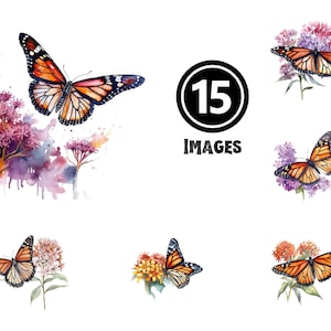 Aquarell Monarchfalter Clipart Set 15 JPG Illustrationen Natur inspiriert Digital Download lebendige Flügel Kunst Schmetterling Garten Dekor