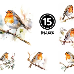Watercolor Robin Bird Clipart Collection 15 JPG Illustrations Digital Download Nature Wildlife Art for Scrapbooking Card Making Home Decor