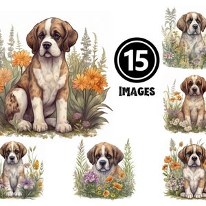 Saint Bernard Puppy Clipart Pack 15 JPG Images Adorable Dog Illustrations Digital Download for Pet Lovers Craft Projects Home Decor