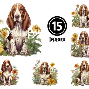 Basset Hound Clipart Treasury 15 file JPG Illustrazioni di cani adorabili per progetti creativi e regali unici per gli amanti dei segugi