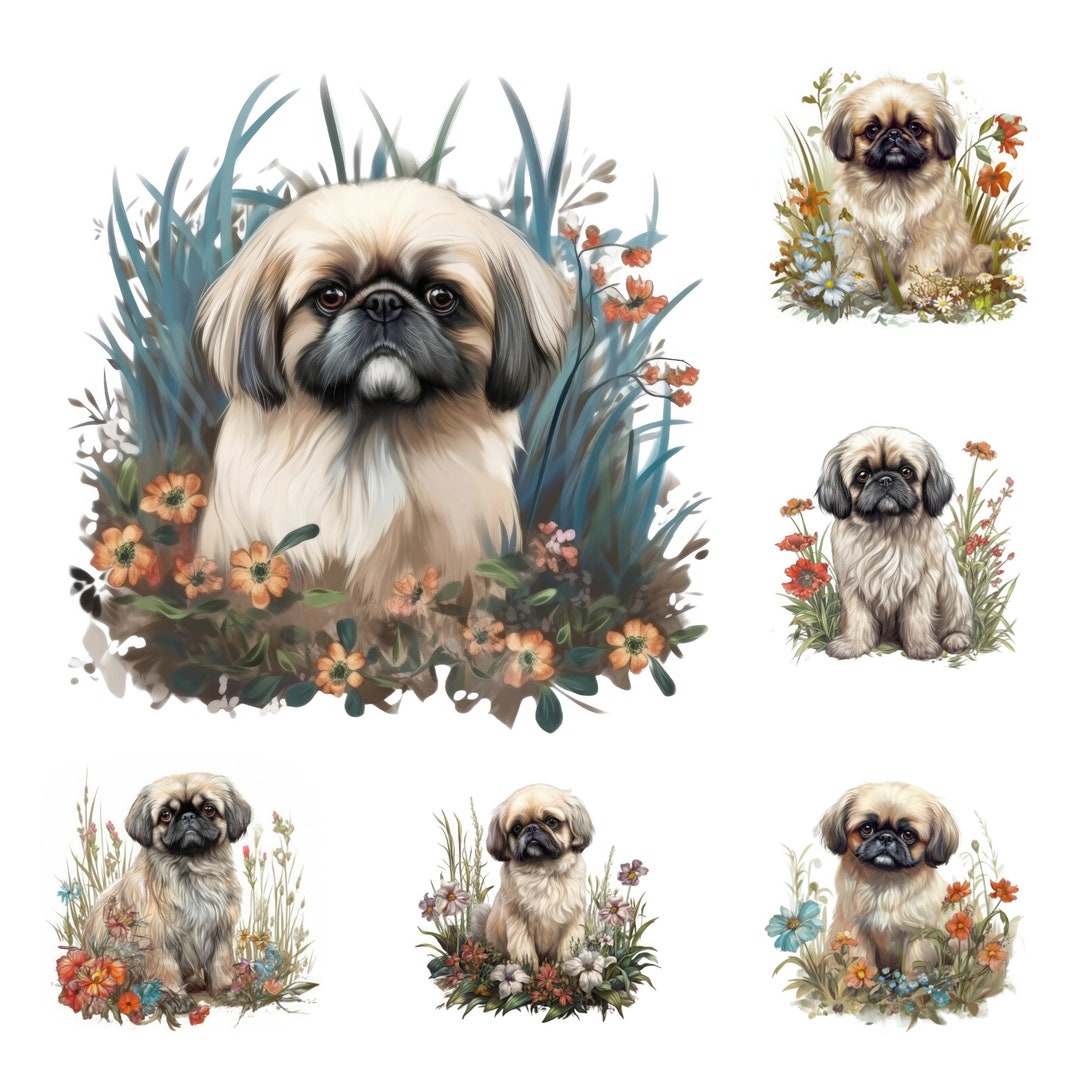 Pekingese Puppy Clipart Bundle Adorable Dog Illustrations Printable Pet ...