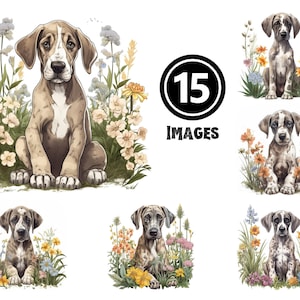 Great Dane Puppy Clipart Set 15 JPG illustraties zachte gigantische digitale Download majestueuze hond Art Home Decor dierenliefhebber cadeau-ideeën