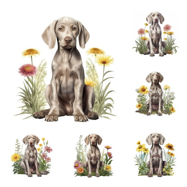 Weimaraner Puppy Clipart Set 15 JPG Illustrations Instant Download Elegant Dog Art Printable Canine Crafts Digital Design Project Home Decor
