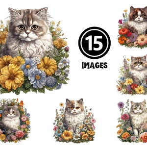 Persian Kitten Clipart Set 15 JPG Illustrations Luxurious Cat Digital Download Fluffy Feline Art for Crafting Home Decor Gift Ideas