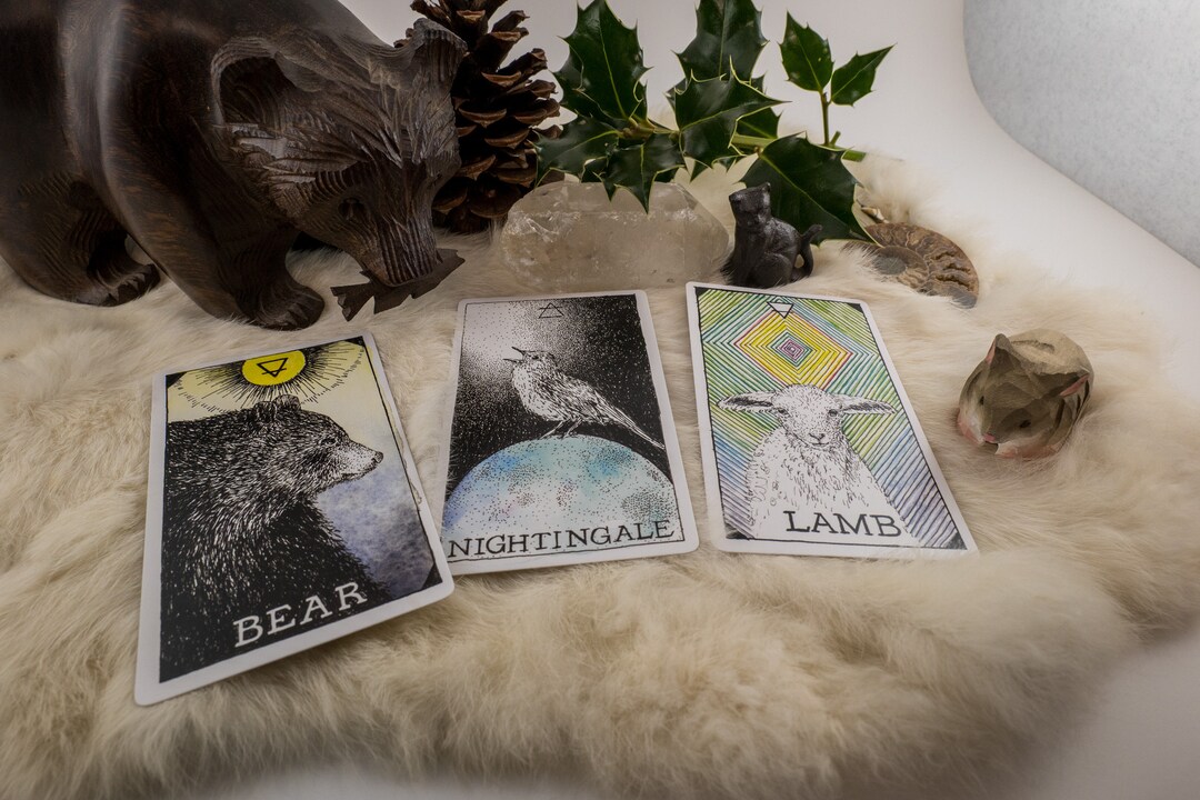 Five Card Oracle Reading same Day/same Hour - Etsy