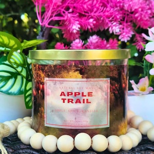Cinnamon Apple | Handmade & Hand-Poured Aromatherapy Candle | 100% Soy Wax | Natural Wax + Long Lasting | 14oz