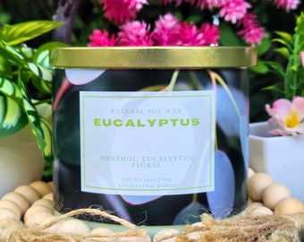 Eucalyptus | Handmade & Hand-Poured Aromatherapy Candle | 100% Soy Wax | Toxin Free + Pet Safe | All-Natural + Long Lasting |  14oz